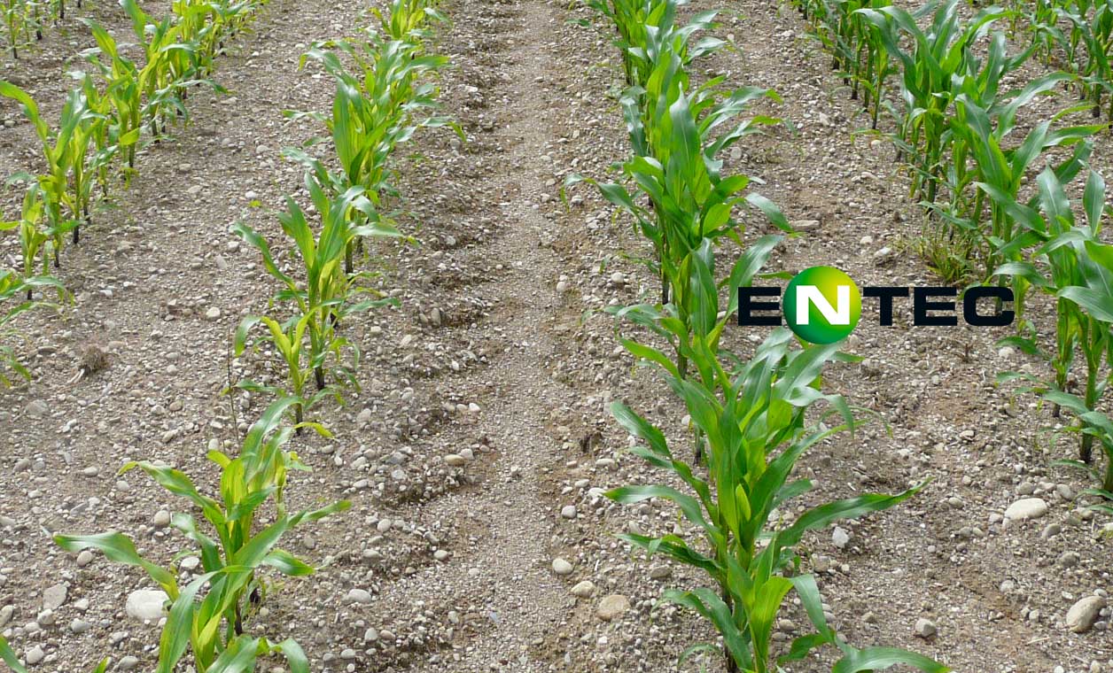 Entec 26 – pour vos cultures et pour une agriculture durable qui ménage le climat. 