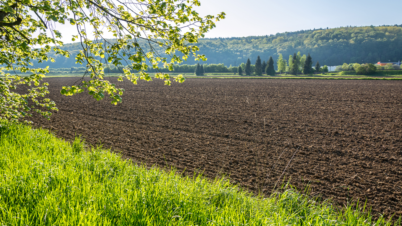 kulturen