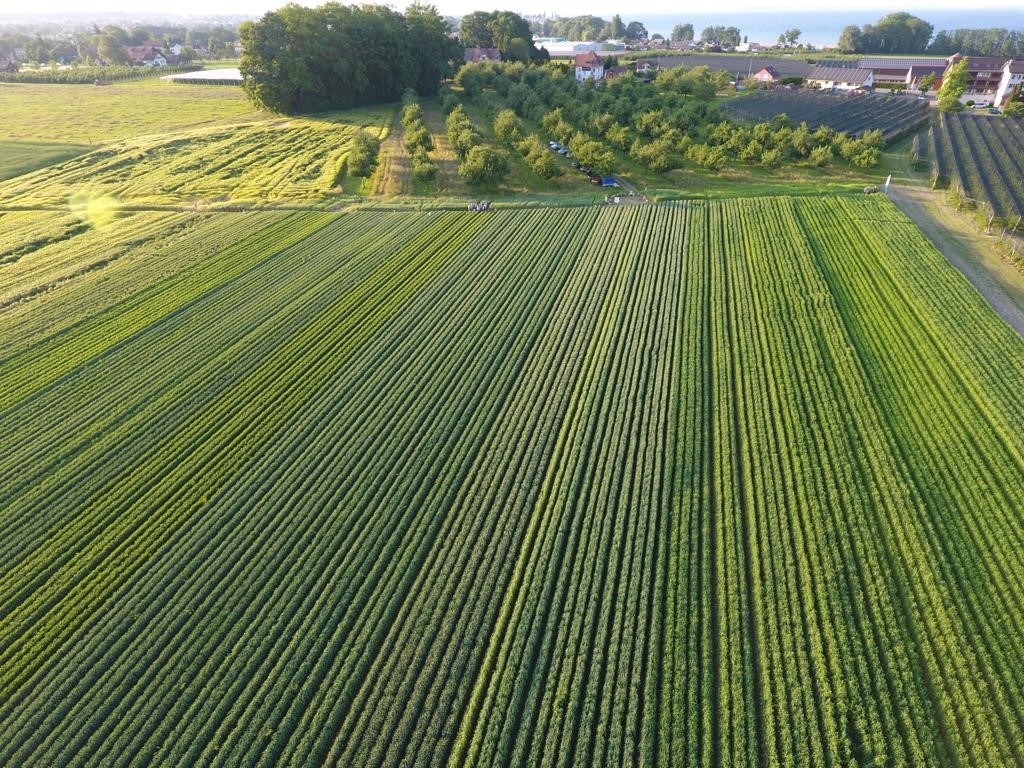 Das Demo-Feld am flugansicht