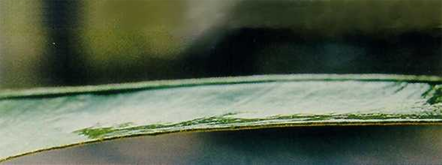 ​Wassertropfen mit 0,1% Break-Thru