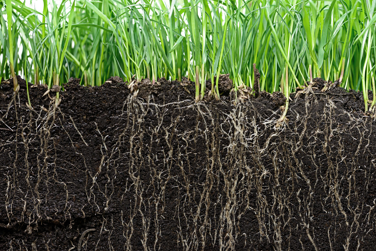 Sustainable Farming with Natural Minerals