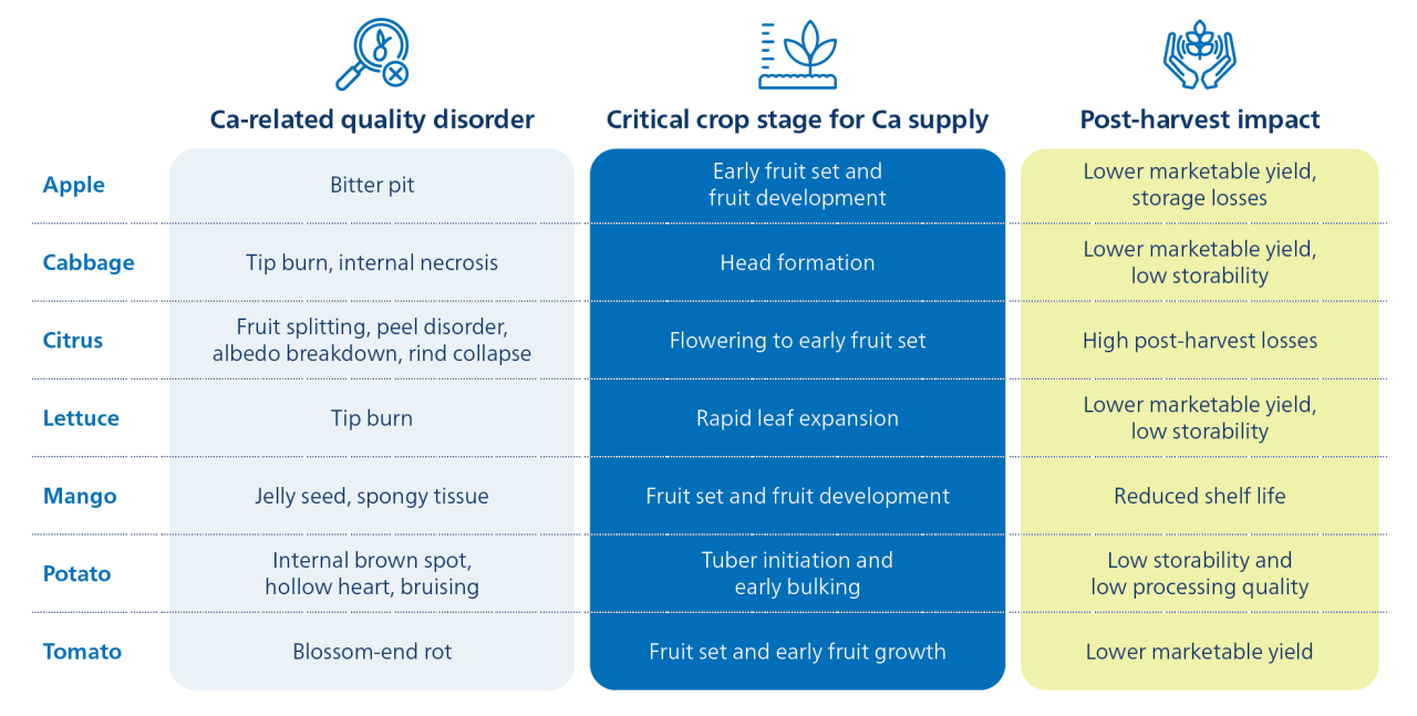Figure 2. Effect of soil pH on herbicide behavior