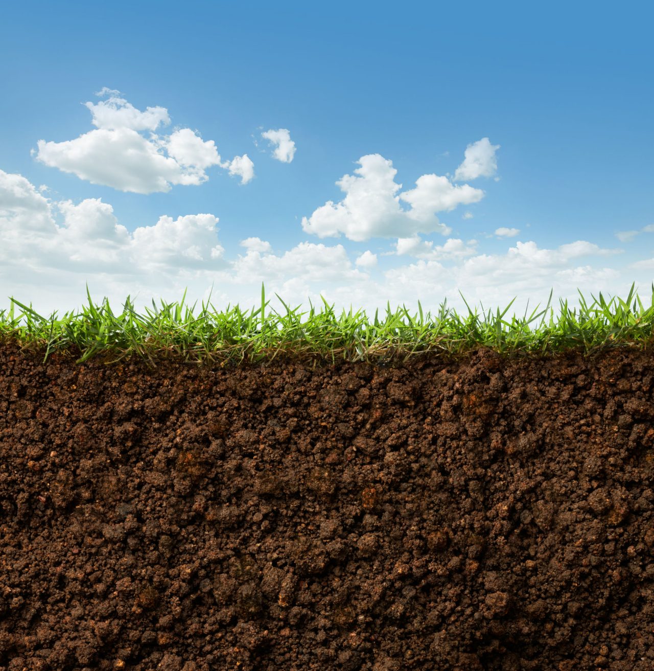 Soil structure