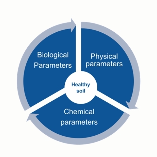 The three pillars of healthy soil