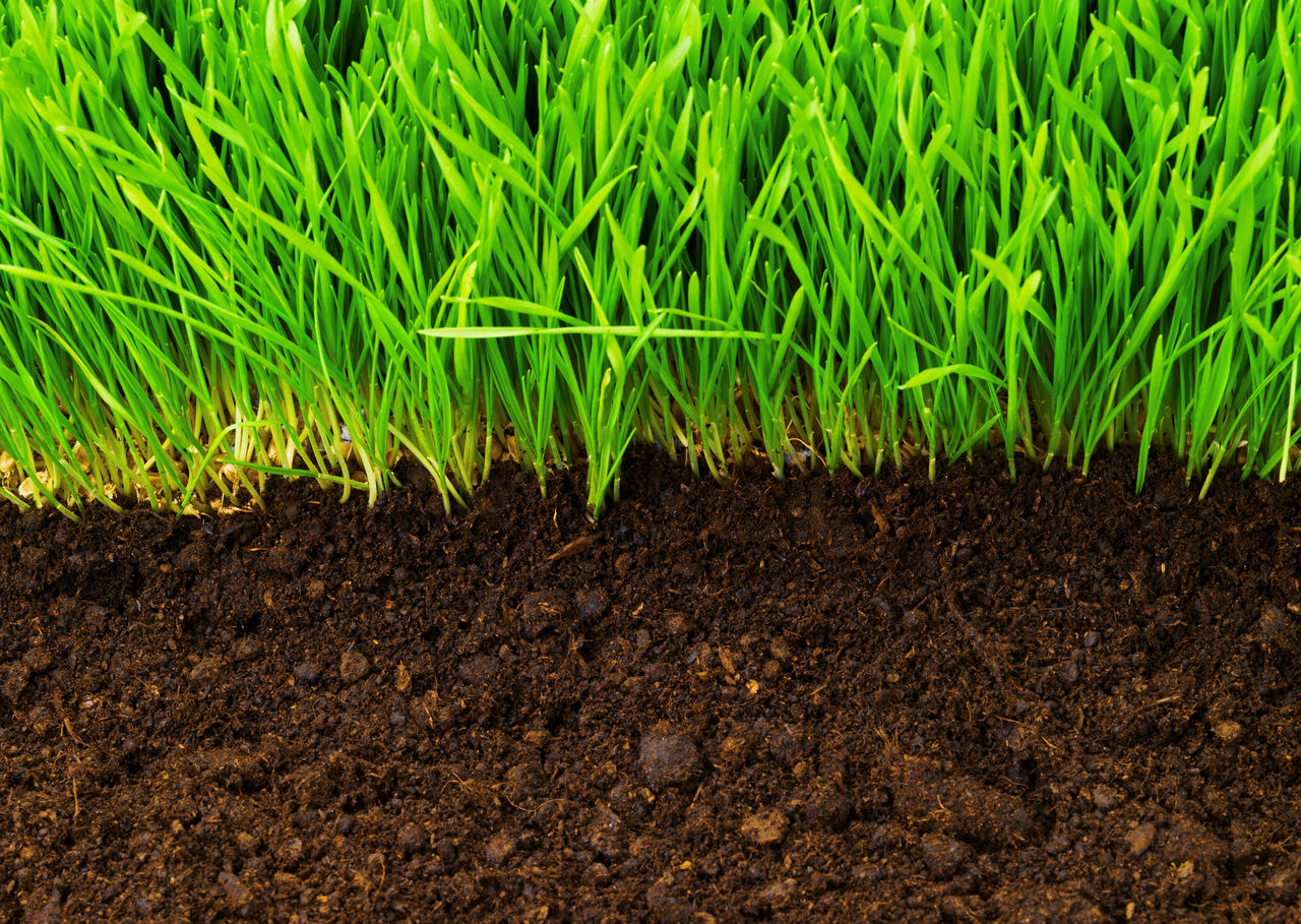 Soil Conditioning