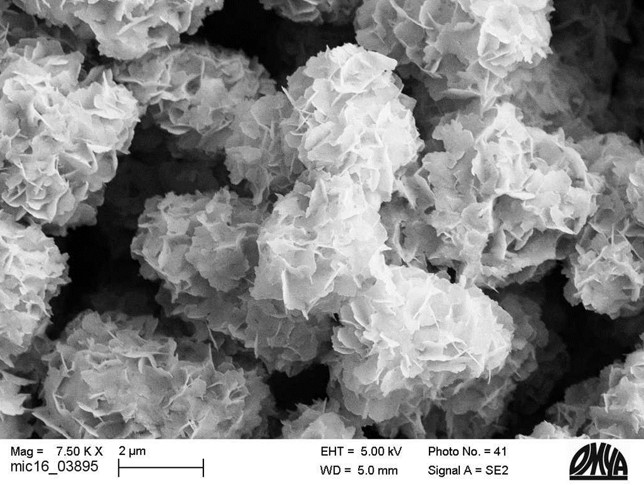 Figure 7. SEM Omyadent 100