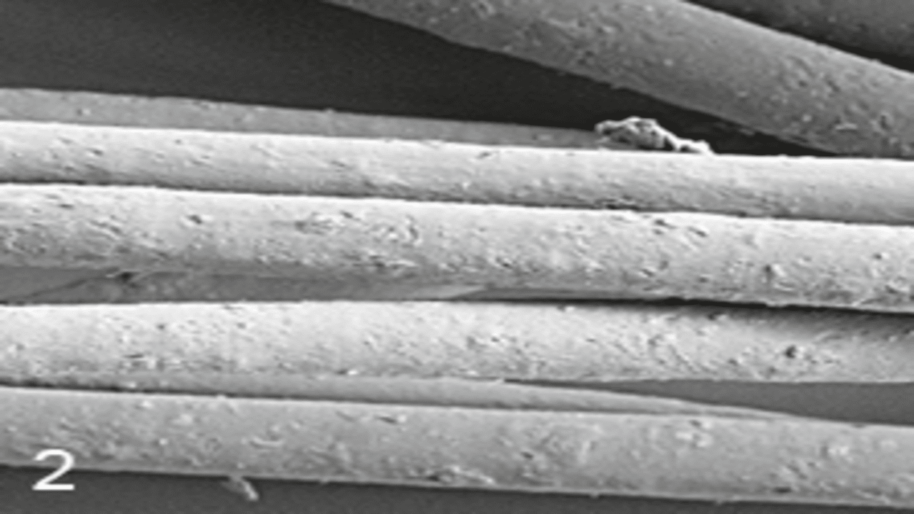Addition of 10% Omyafiber 2 Fiber Surface