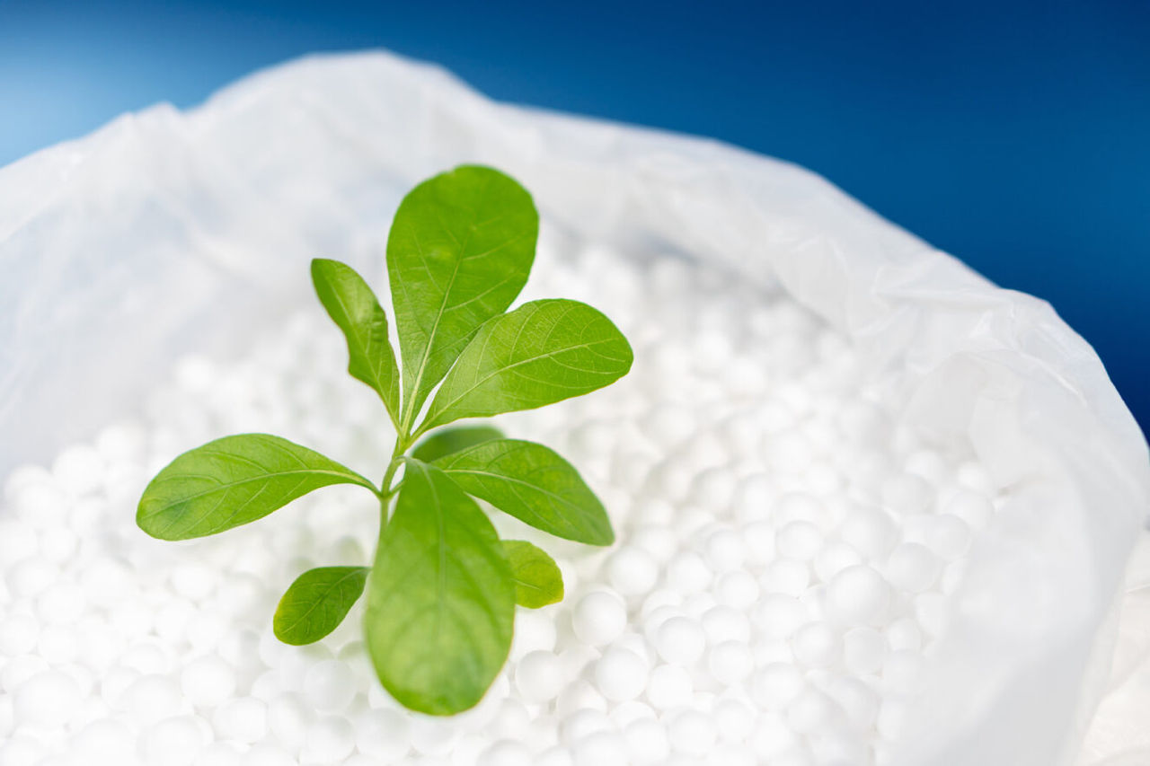 Biopolymer Masterbatch