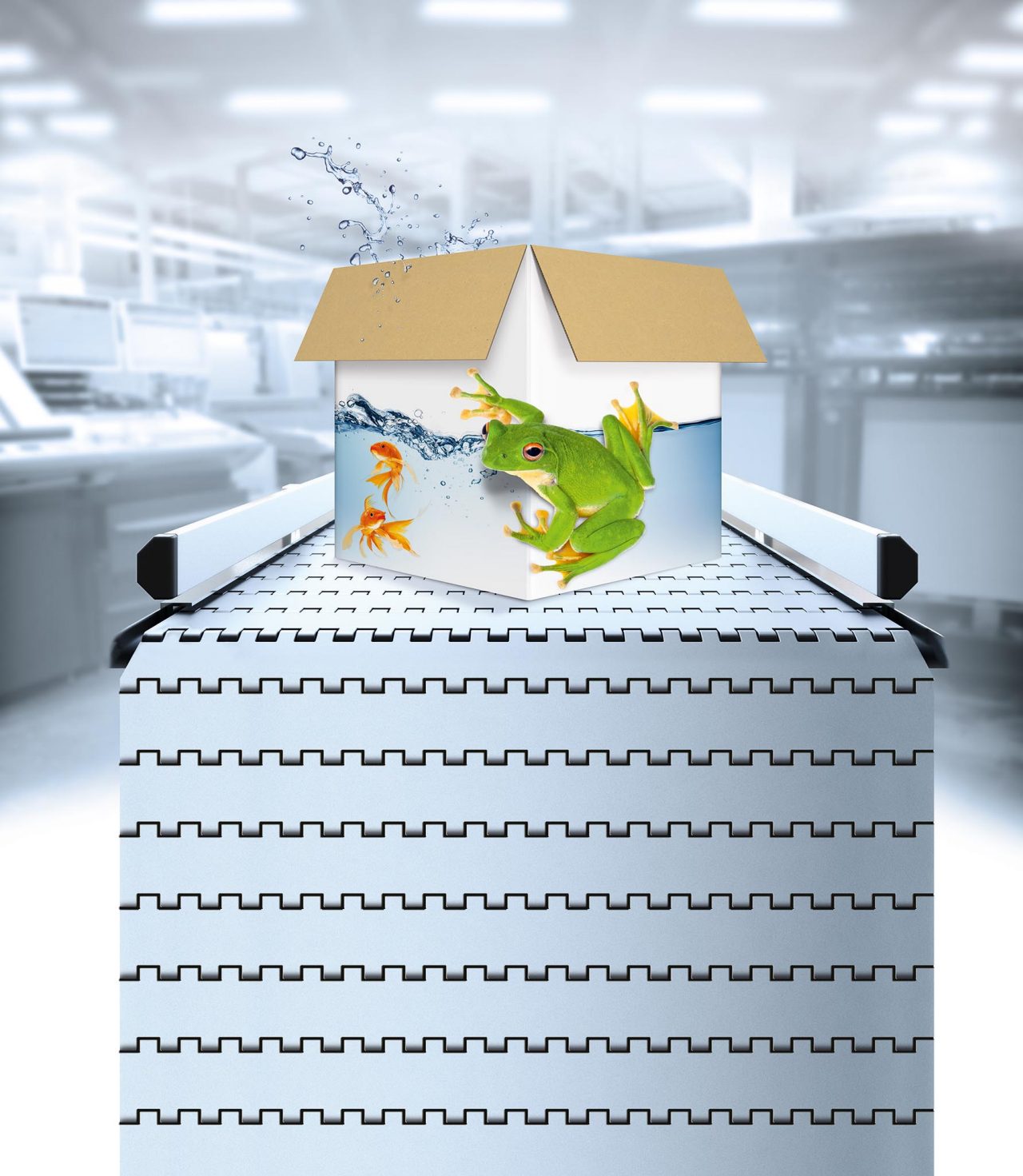 Conveyor belt Aqurate