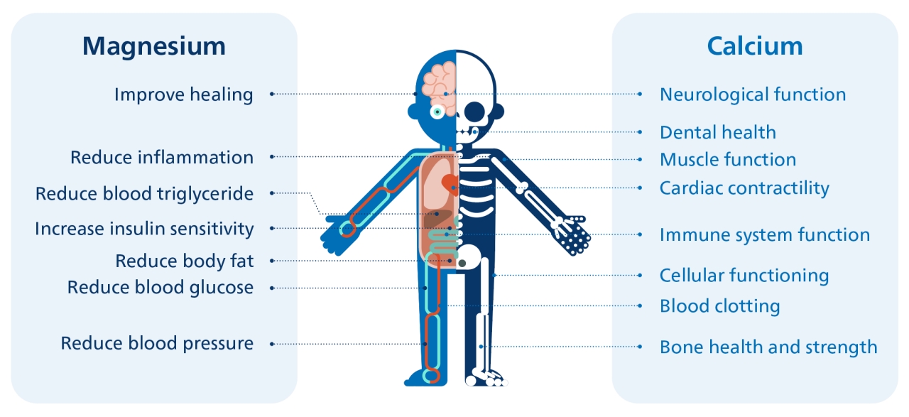 The importance of calcium and magnesium for overall health